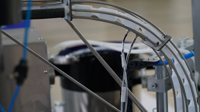 лонх тэжээгч.jpg