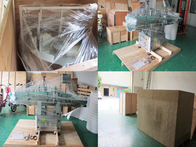 Лаазны шошготой савлагаа.jpg