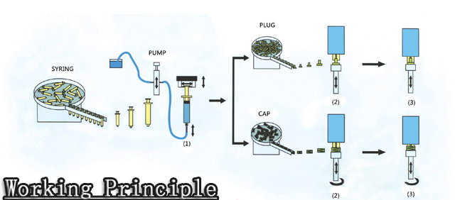 ажиллах зарчим.jpg