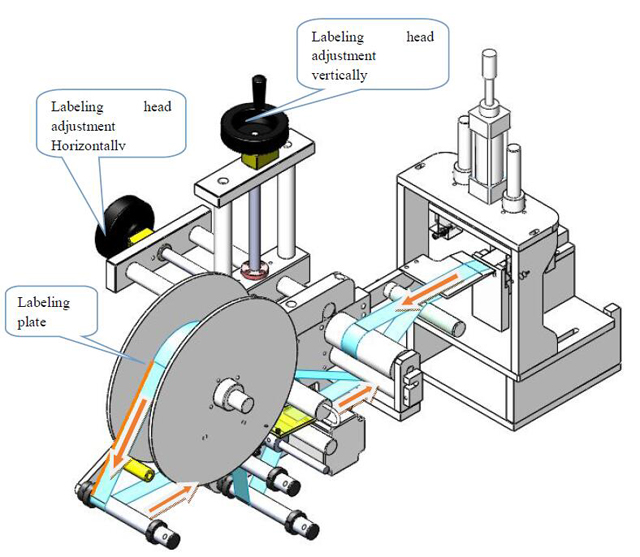 head.jpg шошголох
